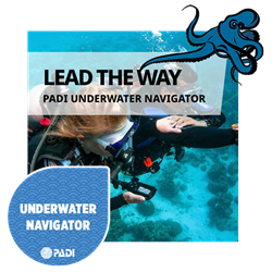 Underwater Navigator